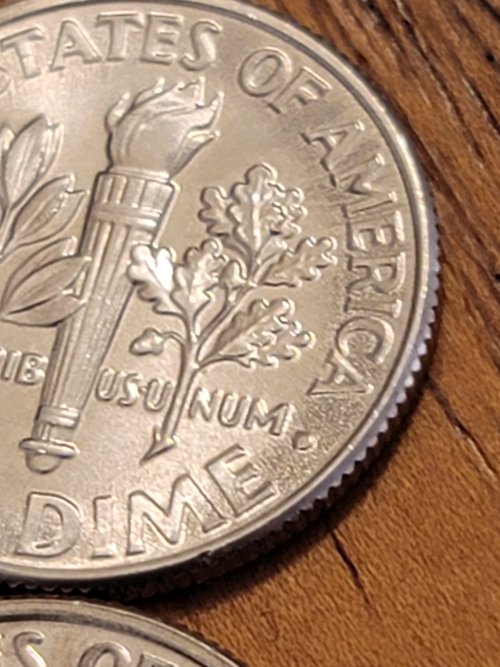 2020-P-Dime-Not-Really-Sure-How-To-Describe-The-Markings-Pretty-New-At-This
